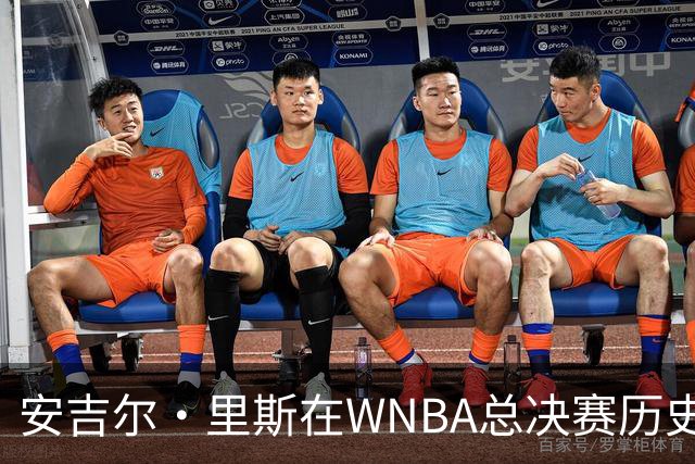 安吉尔·里斯在WNBA总决赛历史上达成重要里程碑